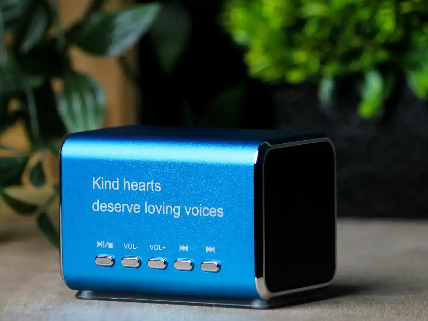 Blue Keepsake Speaker engraved with Kind hearts deserve loving voices